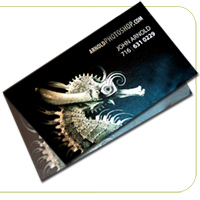 Cold Foil Fold Business Cards