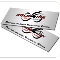 Pearl Metallic 14PT Slim Business Cards